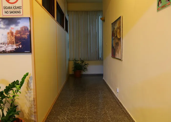 Altun Tabya Vintage *