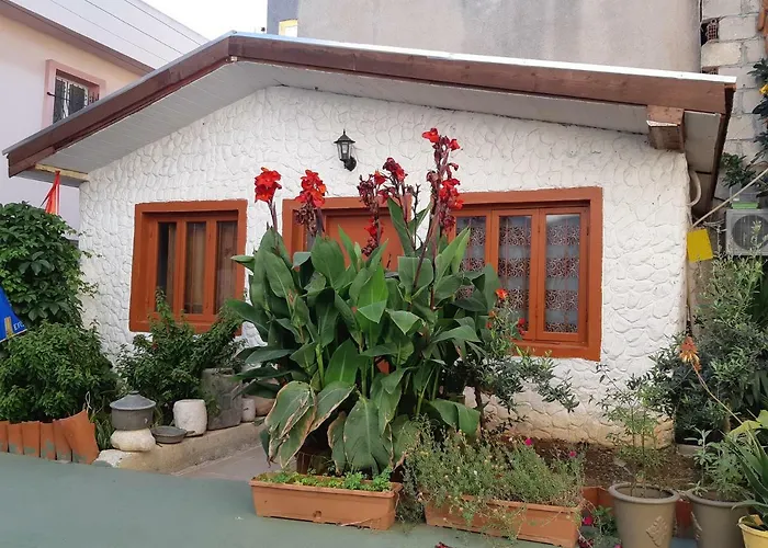 Hotel Altun Tabya Vintage *