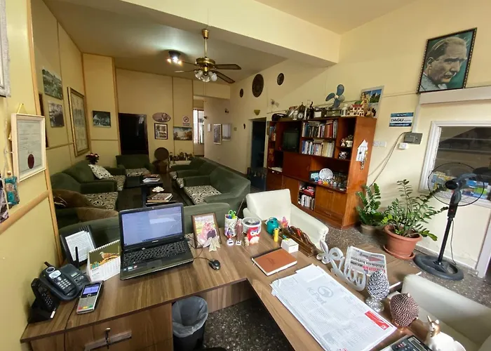 Altun Tabya Vintage *